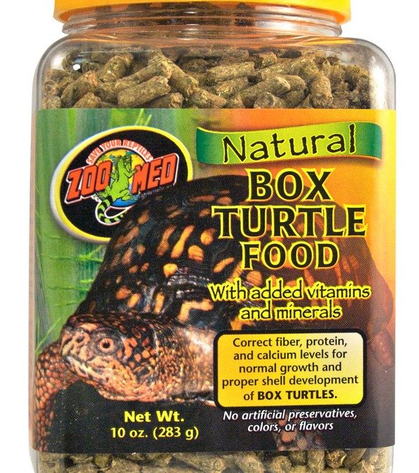 Box Turtle Food
