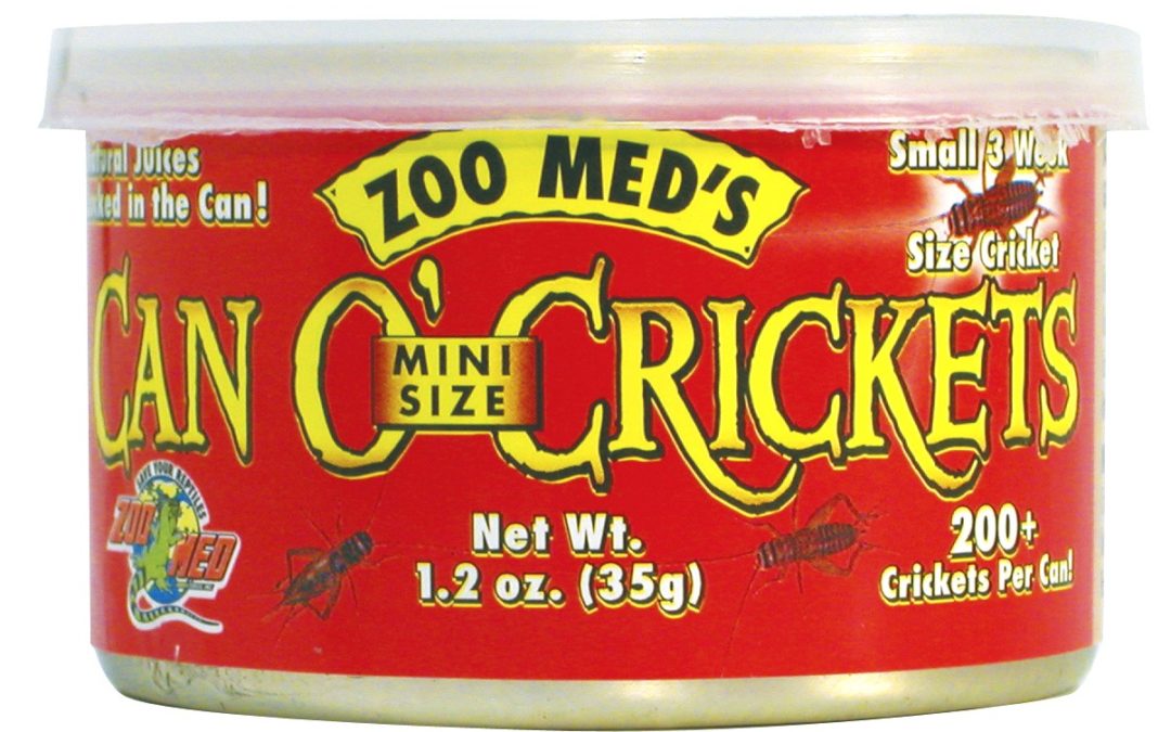 Can O’ Mini Size Crickets