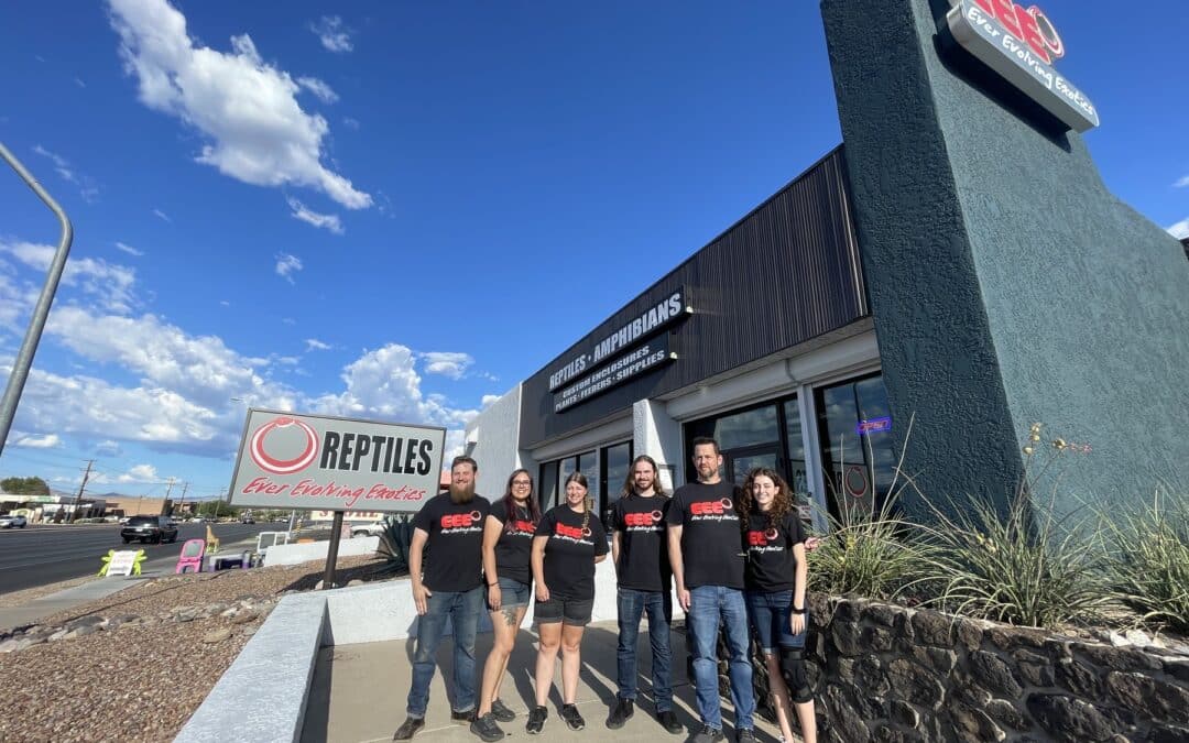 Store of the Month – August 2022