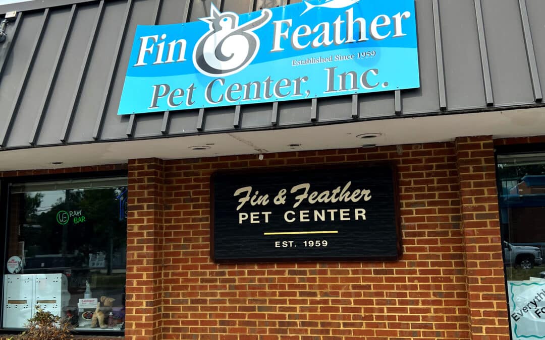 Store of the Month – July 2022