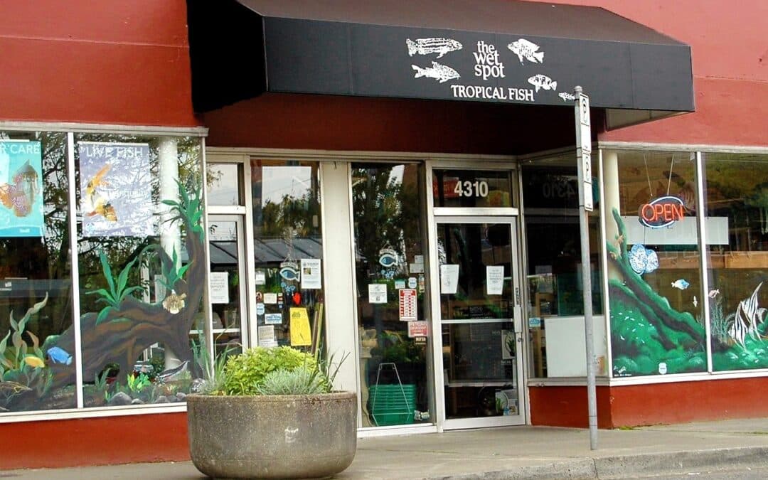 Store of the Month – January 2023